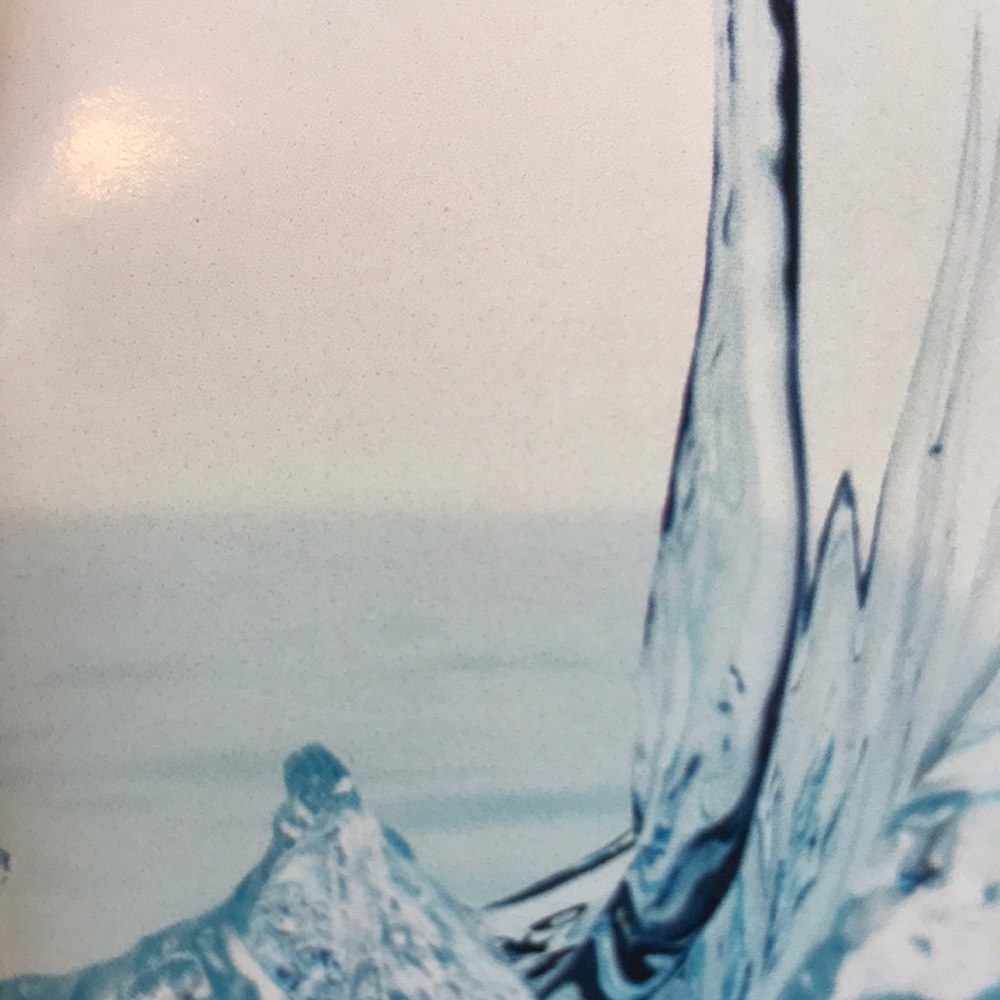 Meet your Posher, Wendy